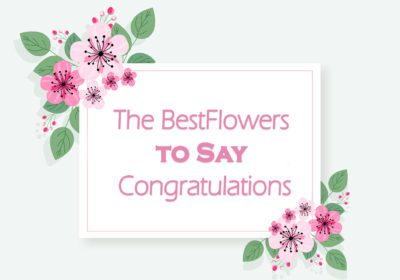 Congratulations Flowers to congratulate for achievement