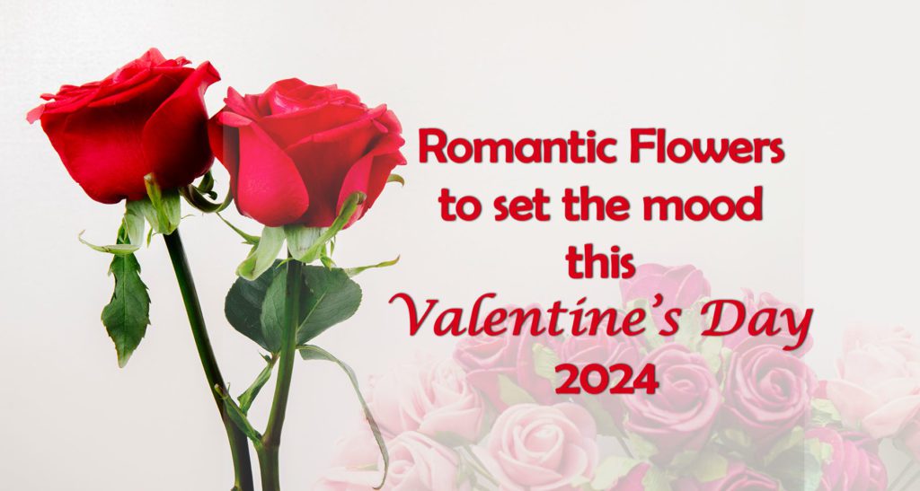Romantic Flowers blog