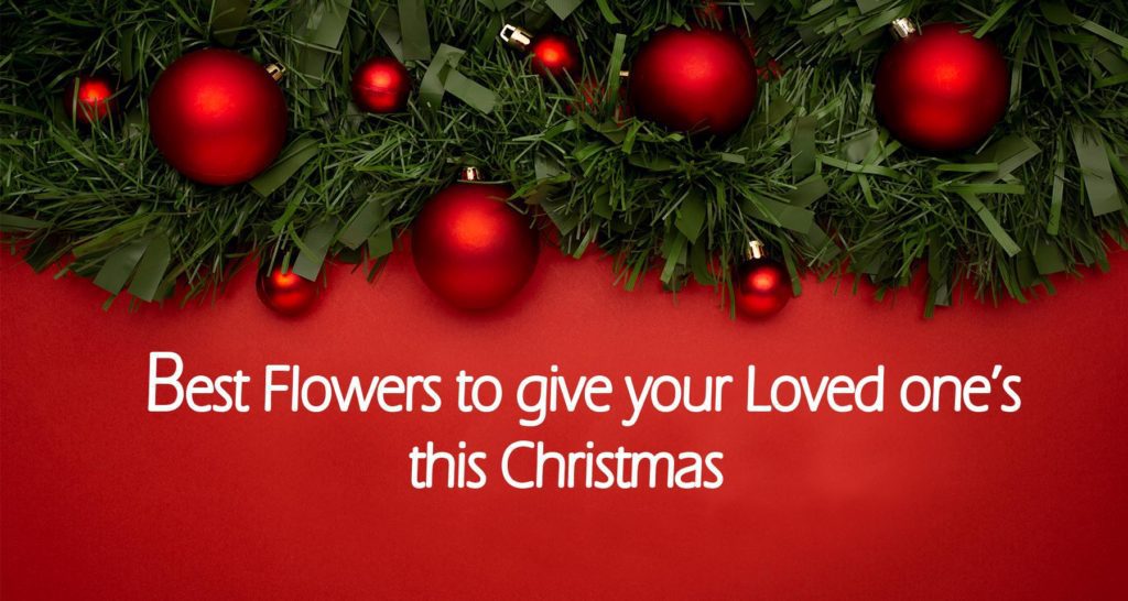 Christmas Flowers and wishes