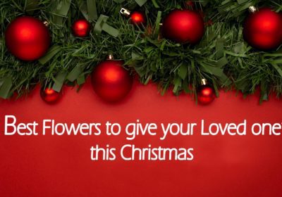 Christmas Flowers and wishes