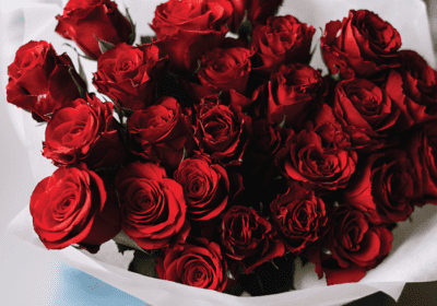 25 Luxury Red Rose Bouquet