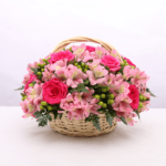 Alstroemeria black tulip florist 002