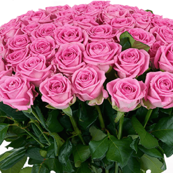 Beauty of Tenderness Bouquet-1 Beauty of Tenderness Bouquet-1