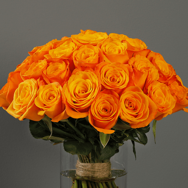 Bunch of Orange Roses