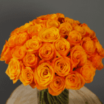 Bunch of Orange Roses-2