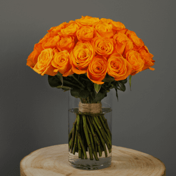 Orange Roses in a Vase