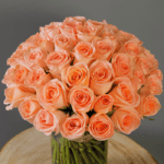 Bunch of Peach Roses-2