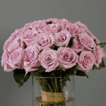 Bunch of Purple Roses-1