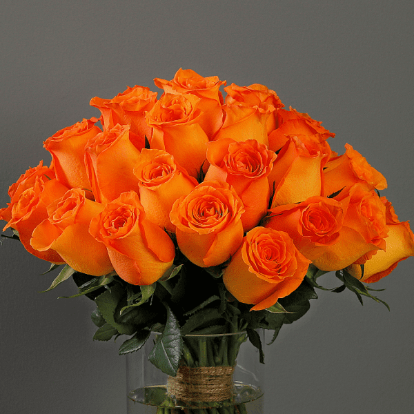 Bunch of Spritz Roses