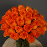 Bunch of Spritz Roses-2