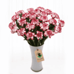 Bunches of Sexy Red Carnation