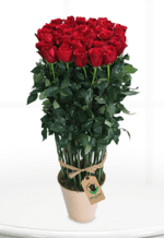 Delicate Red Bouquet