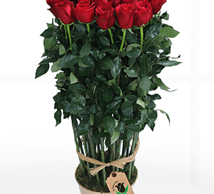 Delicate Red Bouquet