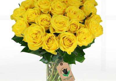 Existing Love with Yellow Roses Bouquet