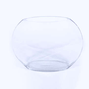 Fish Bowl for Flower Arrangements