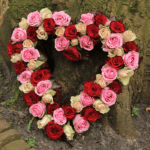 Heart Shape - Mix Roses