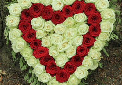 Heart Shape Red and White Flowers