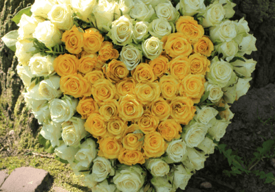 Heart Shape Yellow and White Flowers