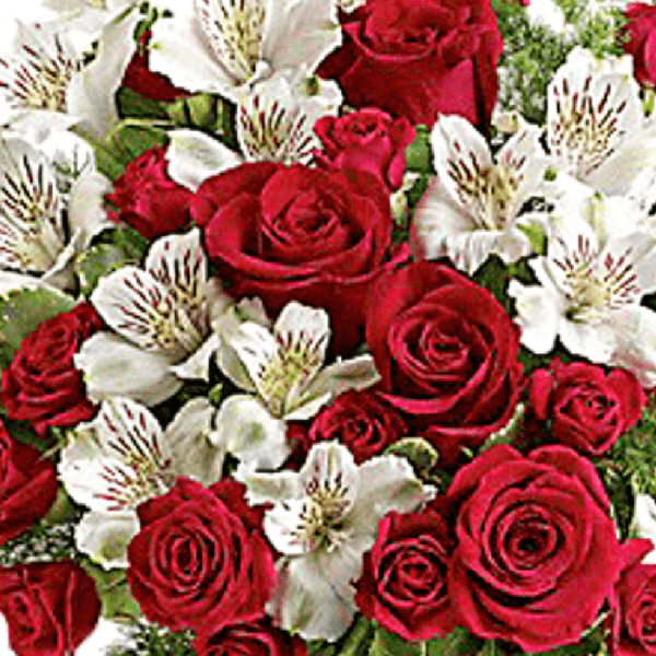 Luxury Christmas Special-1 Luxury Christmas Special Bouquet