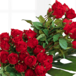 Luxury Red Roses - 1