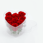 PURE LOVE IN ACRYLIC BOX