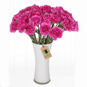 Pink Carnation Arrangement