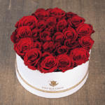 Red Rose in White Box-1