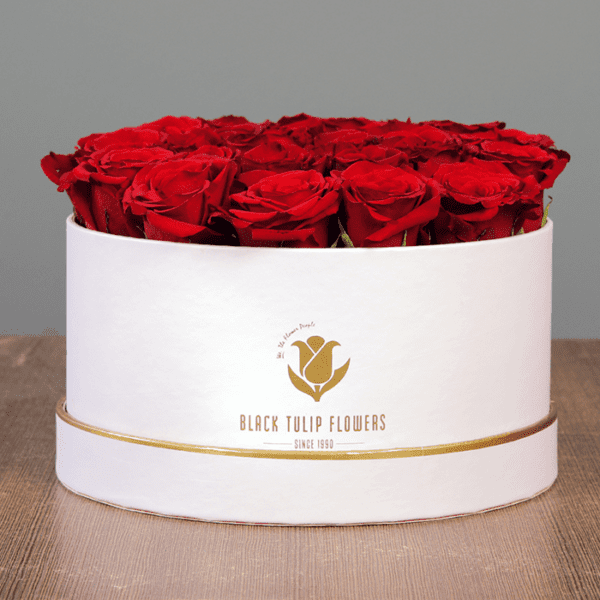 Red Rose in White Box