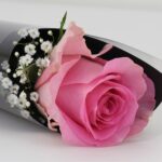 Single Rose in pink wrap with Godiva 002-min