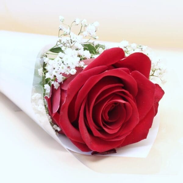 Single rose in white wrap with godiva 002-min Single Red Rose