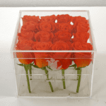 Spritz Rose in an Acrylic Box-1