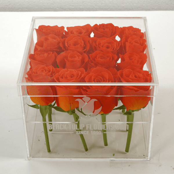 Spritz Rose in an Acrylic Box