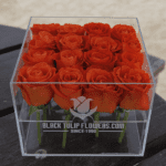 Spritz Rose in an Acrylic Box