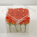 Spritz Rose in an Acrylic Box-2