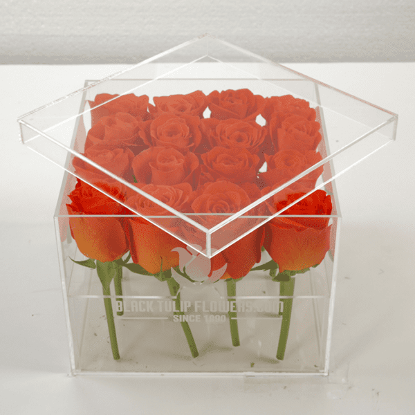 Spritz Rose in an Acrylic Box