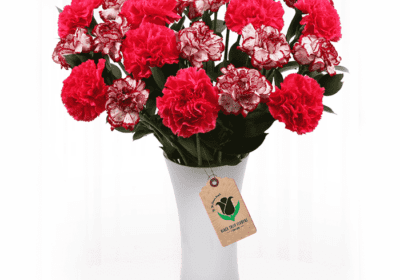 Red Carnation Flowers Bouquet