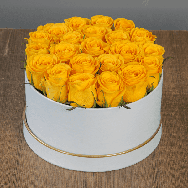 Yellow Rose in White Box