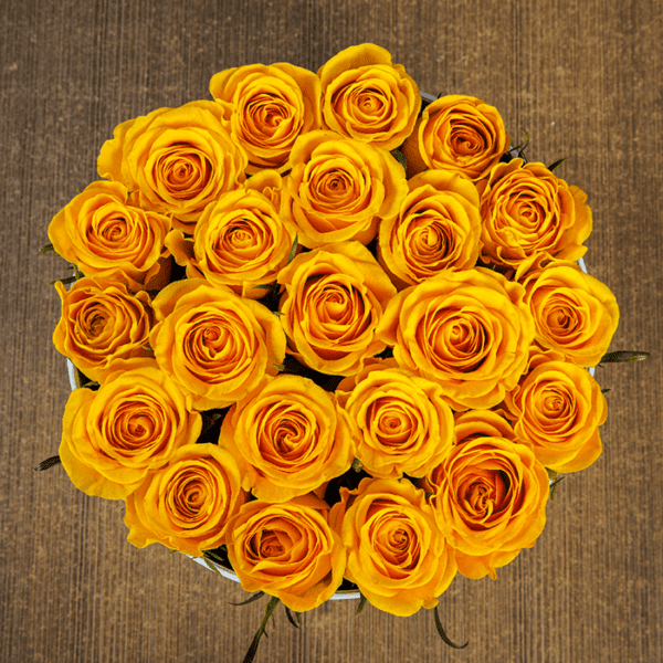 Yellow Rose in White Box