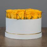Yellow Rose in White Box-3
