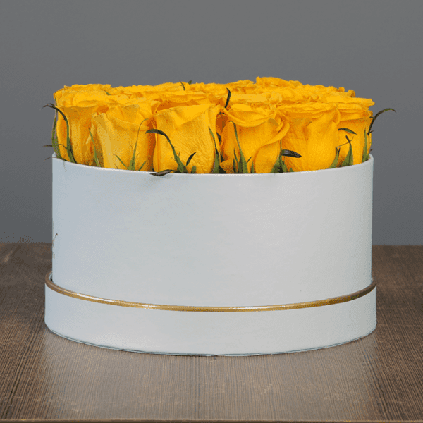 Yellow Rose in White Box