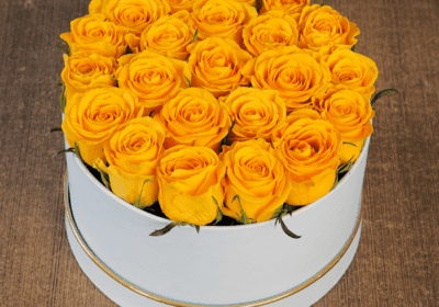 Yellow Rose in White Box