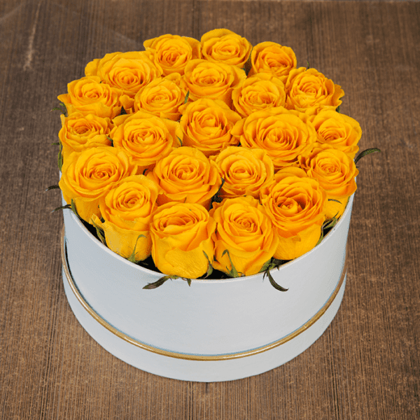 Yellow Rose in White Box