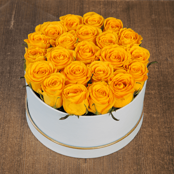 Yellow Rose in White Box Yellow Rose in White Box