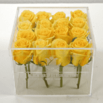 Yellow Rose in an Acrylic Box-1