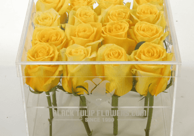 Yellow Rose in an Acrylic Box online