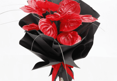 Anthurium Flowers bouquet delivery
