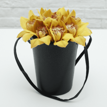 Yellow Cymbidium Gift