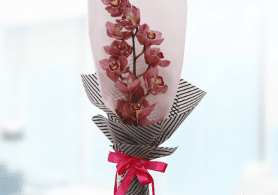 A bouquet of white cymbidium orchids featuring large, elegant red blooms, showcasing their beauty and long-lasting nature.