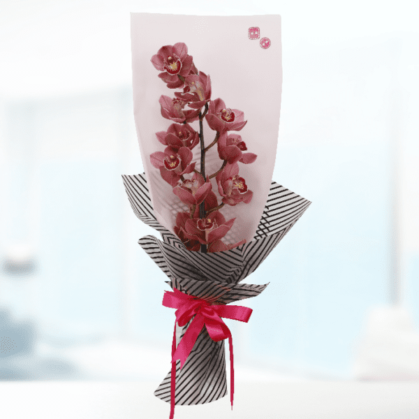 Red Cymbidium Bouquet A bouquet of white cymbidium orchids featuring large, elegant red blooms, showcasing their beauty and long-lasting nature.
