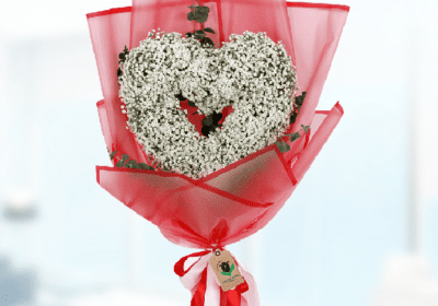 Valentines Special Gypsophila